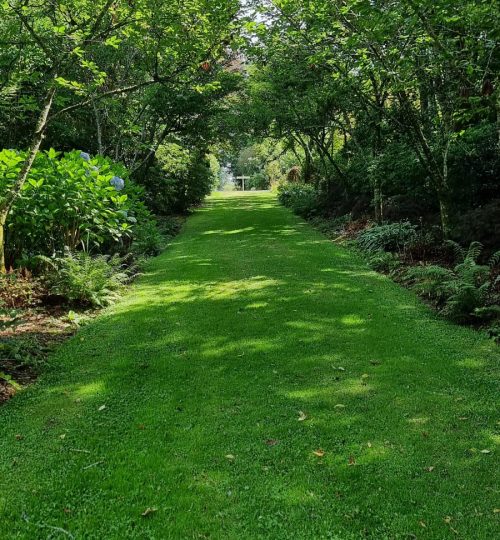 Green path Inis Beg Estate Cork End of life meditation tips to stay grounded